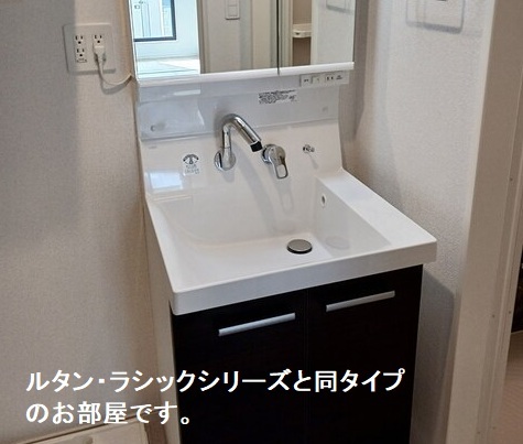 ドミールサワダ 洗面所