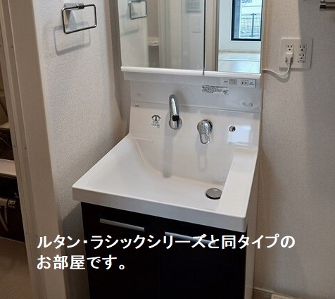 ドミールサワダ 洗面所