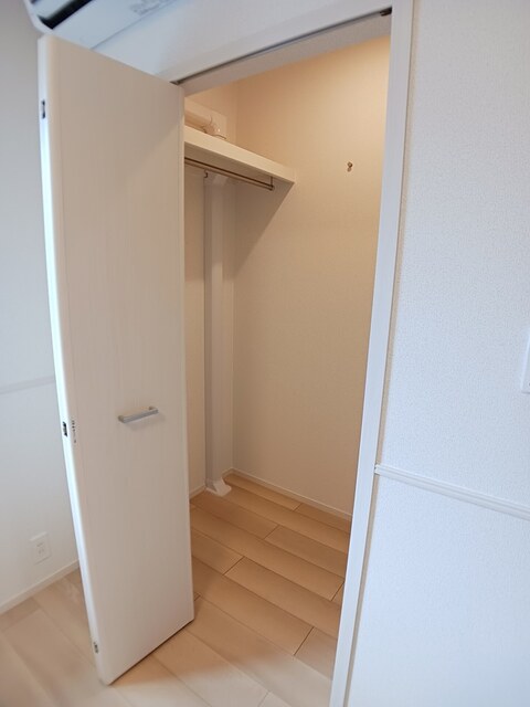 ガジュマル 収納