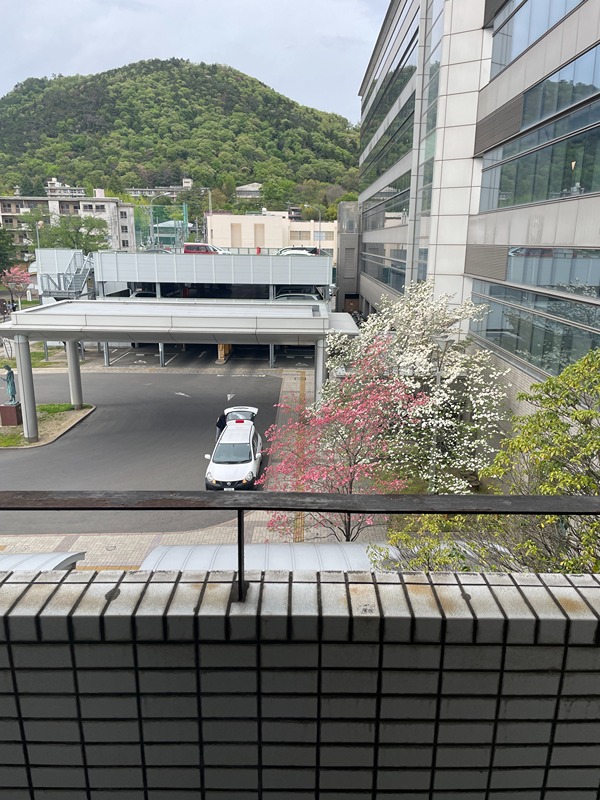 ベルシティ森合町 眺望