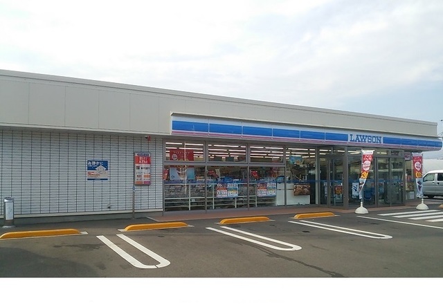 エムズ　プラシード その他
