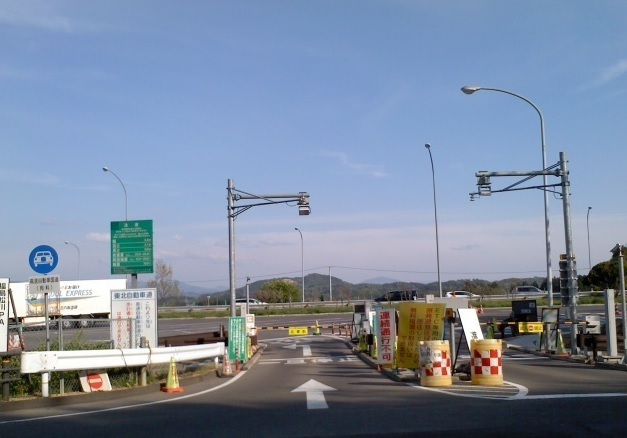 ウィステリア　トレリス その他