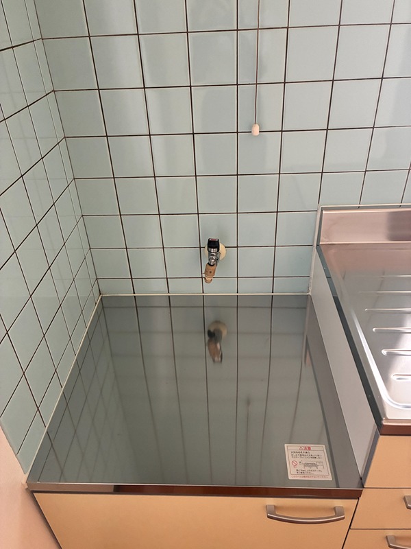 ジュネスクイーン その他