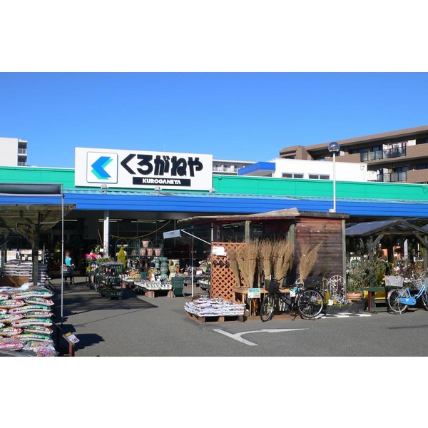 Ｓｏｕｔｈ　Ｂｅａｒ ホームセンター