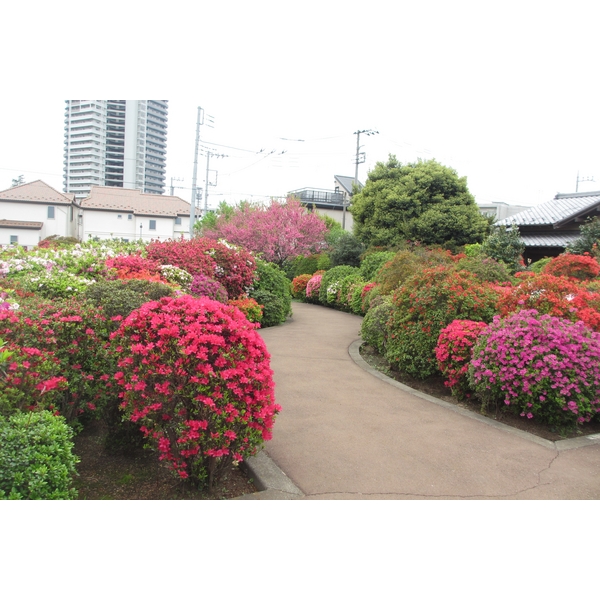 北烏山６丁目戸建 公園