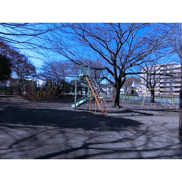 グリーンハイツ多摩 公園
