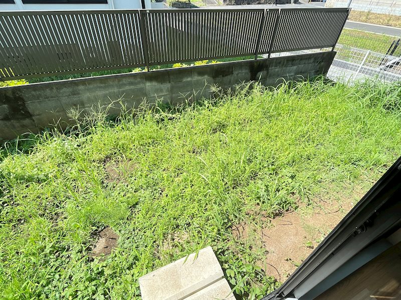 サンライフ伊登屋Ｂ その他部屋・スペース
