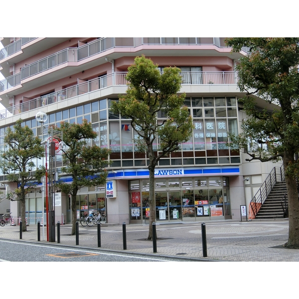シャントレル コンビニ