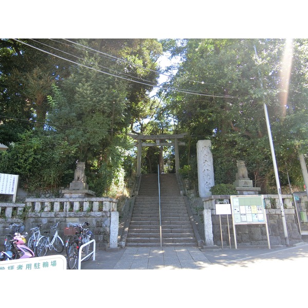 メゾンカルム代々木公園 その他