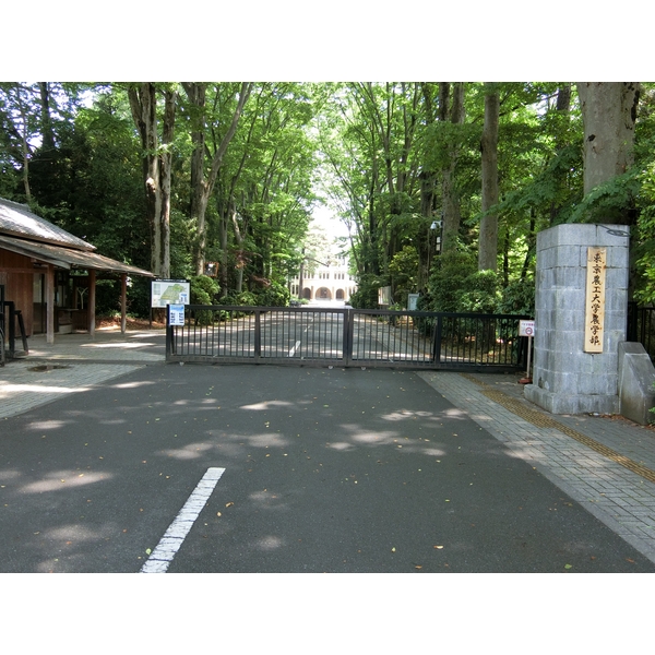 八百重マンション 大学・短大