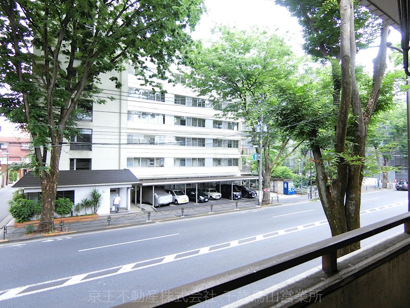 ハイコーポ烏山 眺望