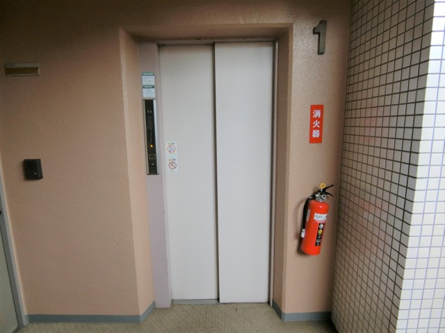 シャントレル その他