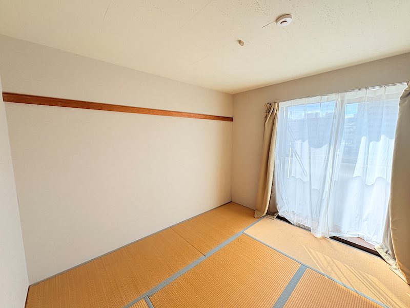 ハイムニューセラ その他