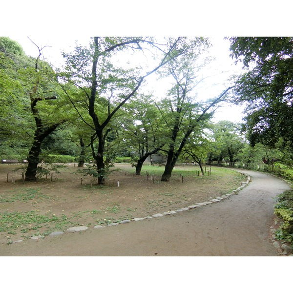 Hi-ROOMS哲学堂 公園