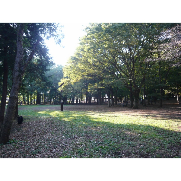 キャステロ蘆花公園 公園