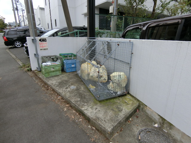アルカサーノ永山 その他共有部分
