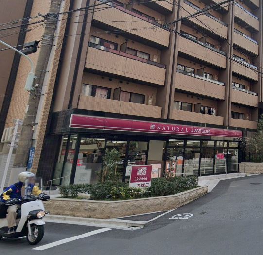 ミリアレジデンス南麻布 コンビニ