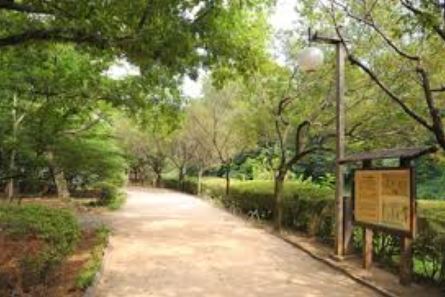 ドミナーレサクマ  公園
