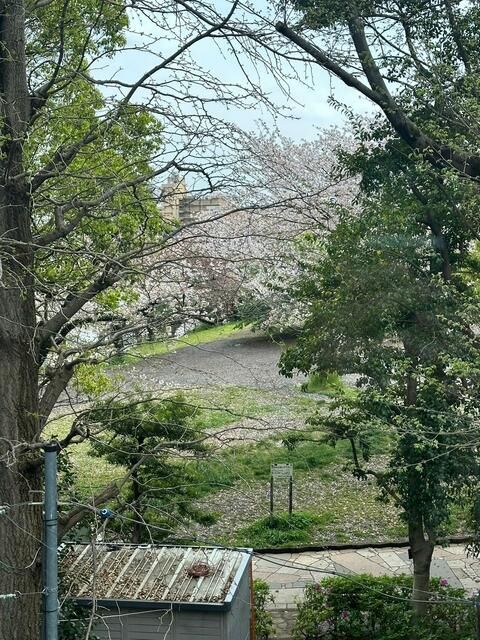 グランドメゾン代官山THE PARK 眺望