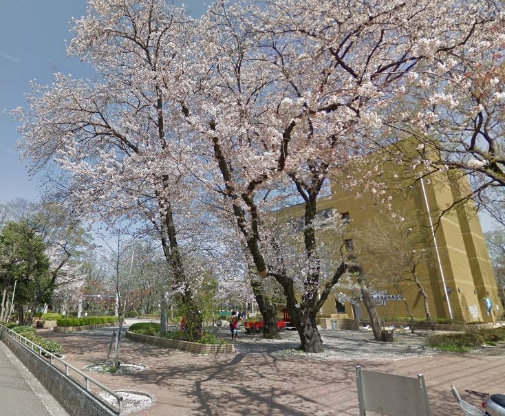 Ｎステージ東小金井 公園