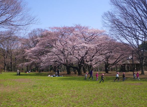 パークフラッツ渋谷神山町 公園