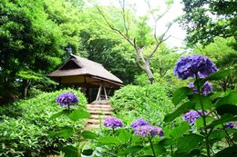 アドリーム本駒込六義園 公園