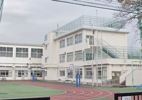 SOCIETY OPUS TWO 小学校