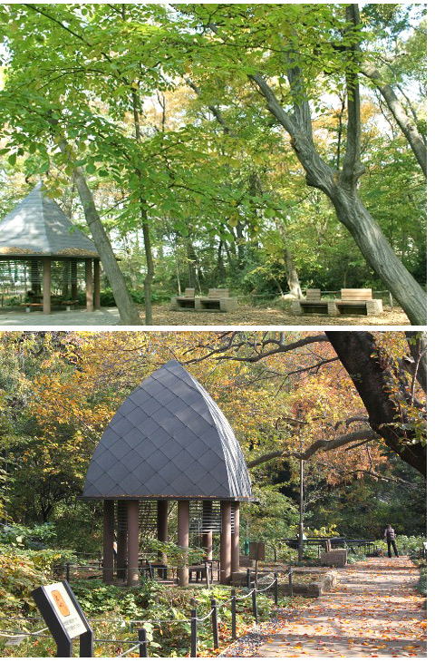 アミ浜田山 公園