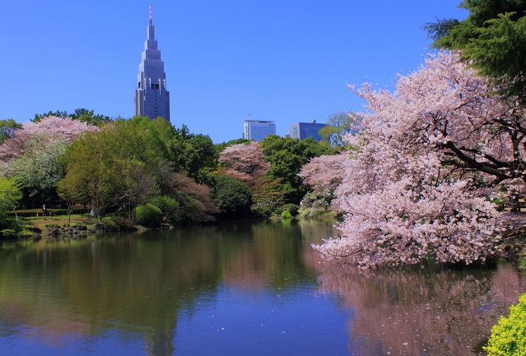 コンフォリア新宿御苑Ⅰ 公園