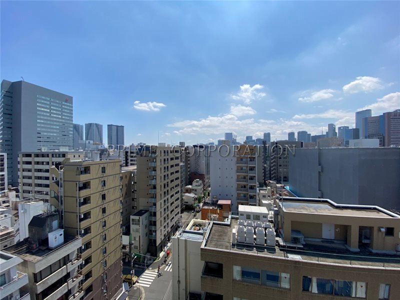 HF銀座レジデンスEAST 眺望