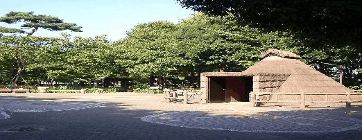コンフォリア桜上水 公園