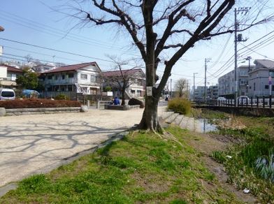 メゾンビアンペルレ 公園