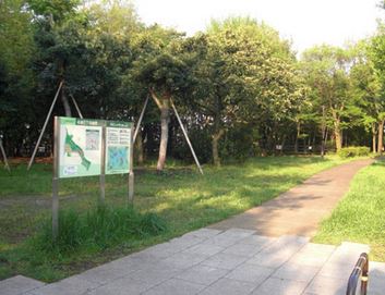 アーバンハイム成城PART V 公園