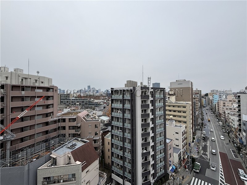 コスモグラシア新宿西早稲田 眺望