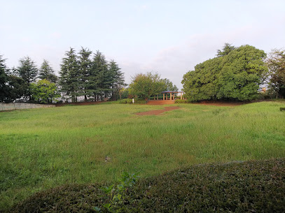 神奈川県横浜市青葉区新石川２丁目 公園