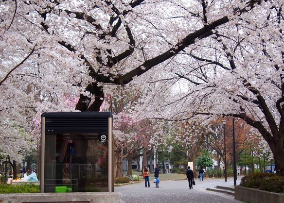 コンフォリア西早稲田 公園