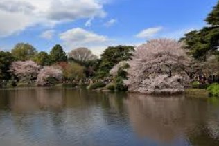 グランパーク千駄ヶ谷レジデンス 公園
