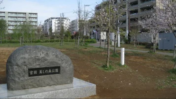 東急鷺沼スカイドエリングＢ棟 公園
