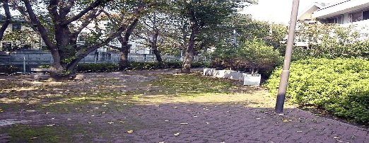 エクレール 久我山 公園