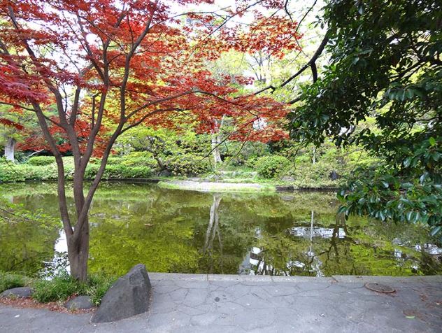 パークハビオ平河町 公園