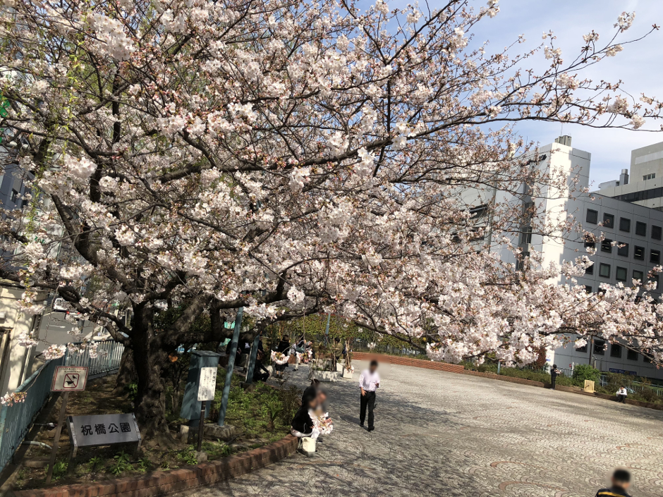 松竹スクエアレジデンス 公園