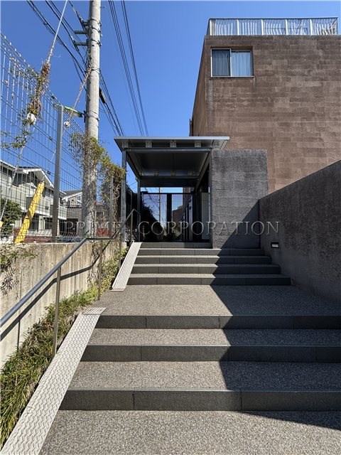 il cielo la foresta  その他