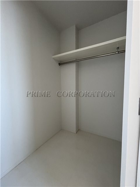 il cielo la foresta  その他