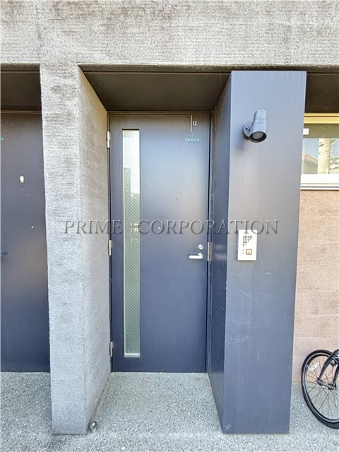 il cielo la foresta  その他