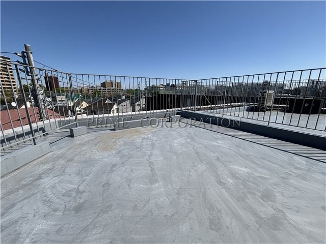 il cielo la foresta  その他