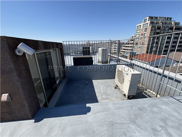 il cielo la foresta  その他