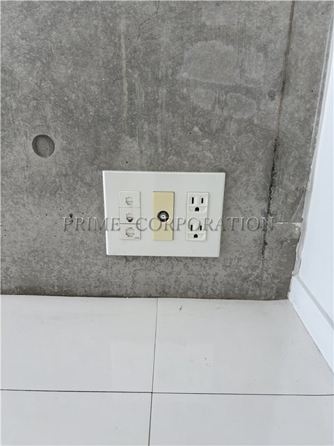 il cielo la foresta  その他