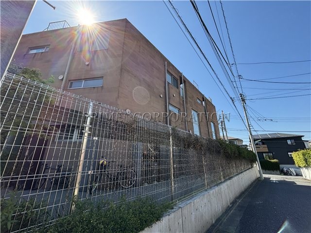 il cielo la foresta  その他