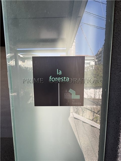 il cielo la foresta  その他