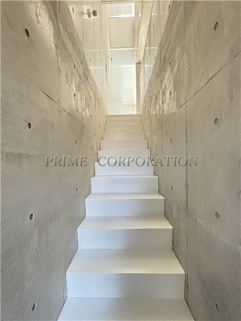 il cielo la foresta  その他